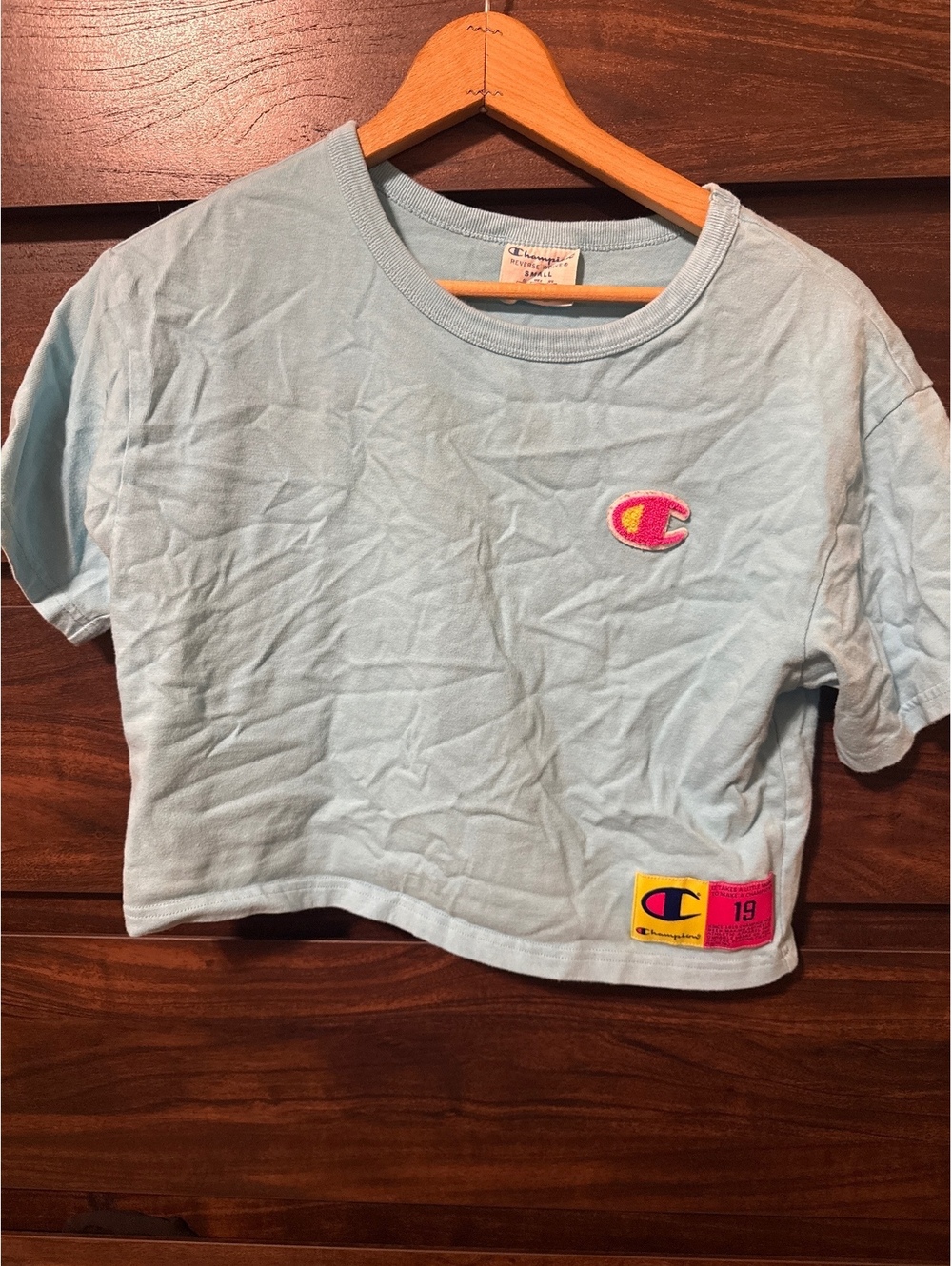 Champion Reverse Weave Small Light Blue Crop T-Shirt